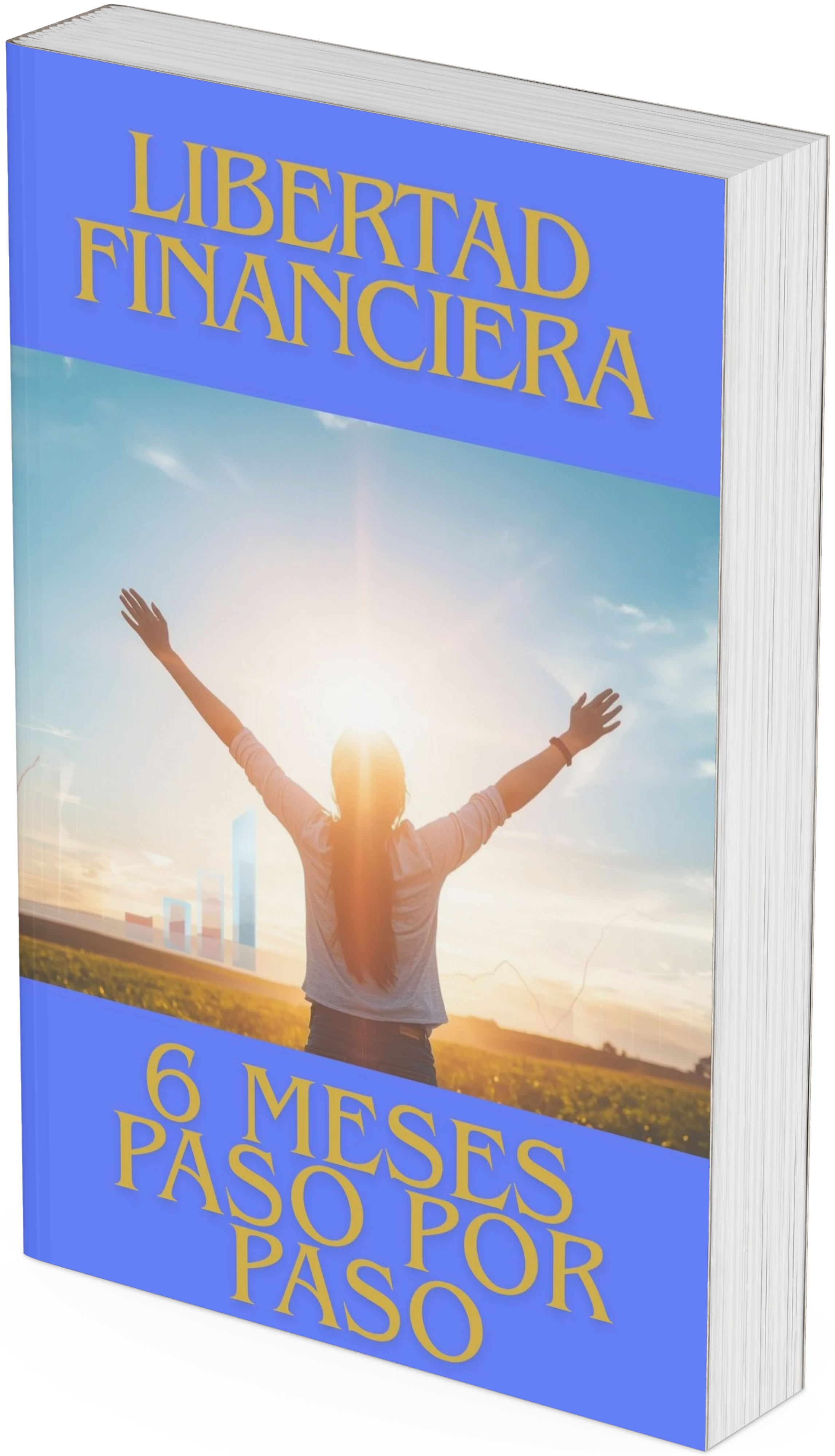 6 Meses para la Libertad Financiera